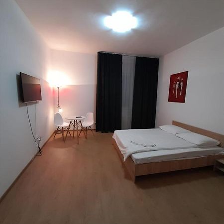 טימישוארה Piata Unirii- 1 Room Studio Apartment מראה חיצוני תמונה