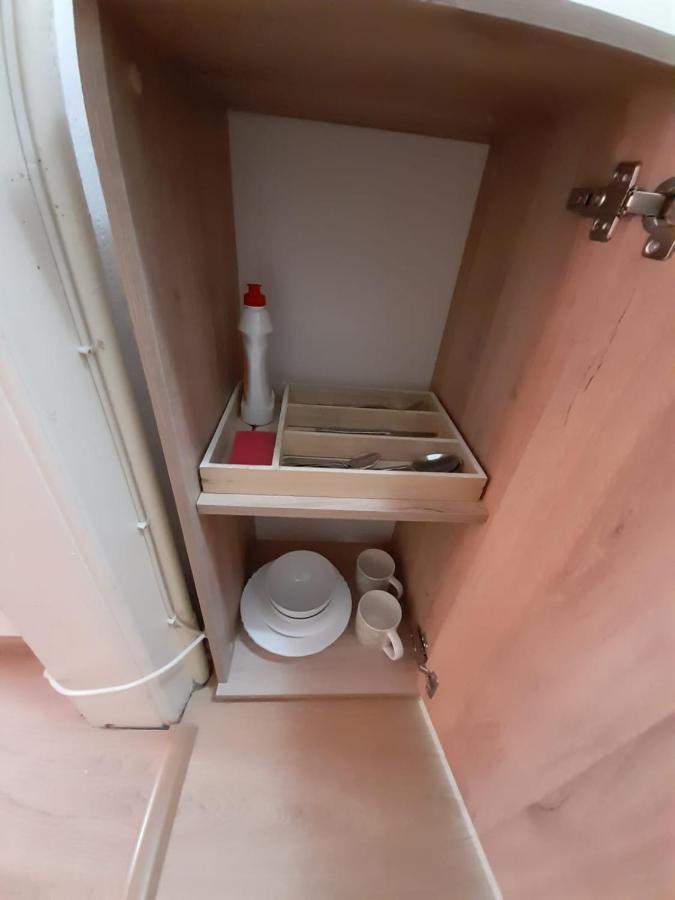 טימישוארה Piata Unirii- 1 Room Studio Apartment מראה חיצוני תמונה